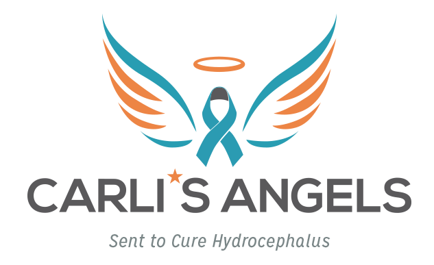 Carli’s Angels winged awareness ribbon logo — Sent to Cure Hydrocephalus